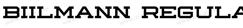 Biilmann Regular字体转换
